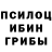 Псилоцибиновые грибы Psilocybine cubensis Anik hasan 3D