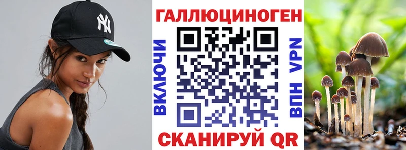 купить наркоту Белгород Галлюциногенные грибы Psilocybine cubensis
