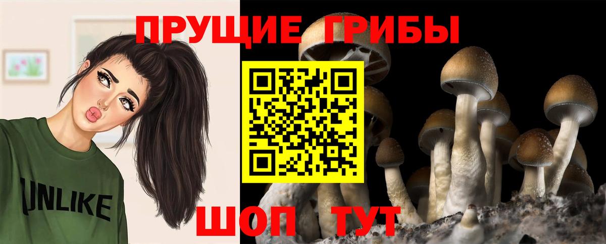 Галлюциногенные грибы ЛСД  Галлюциногенные грибы мухоморы  Вход с VPN  Белгород 