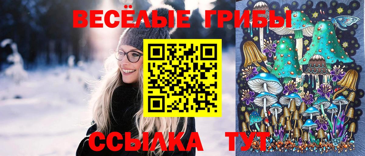 Псилоцибиновые грибы Psilocybine cubensis Белгород
